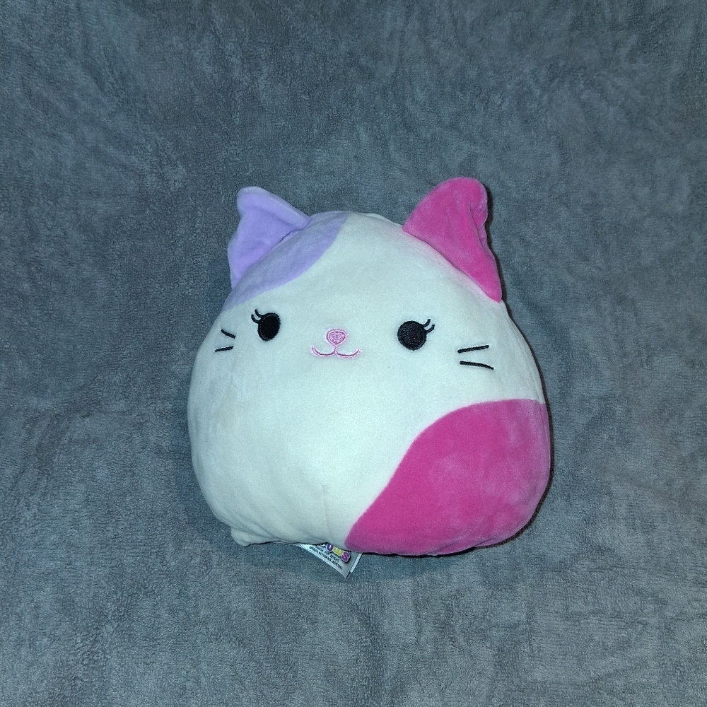 Squishmallows Flipamallows Cat And Dog